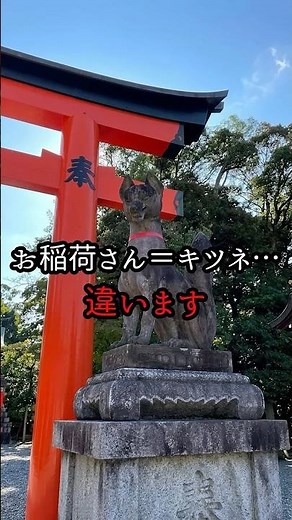 【お稲荷さんの正体】キツネじゃない…お稲荷さんの本当の神様│八百万の神ちゃま #パワースポット#神社 #開運