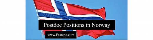 Postdoctoral Positions in Norway positions at different universities -