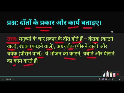 दाँतों के प्रकार और कार्य बताइए। (Daanton ke prakar aur karya batayein)