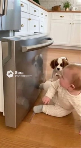 Baby Opens the Fridge… Then Suddenly Freezes