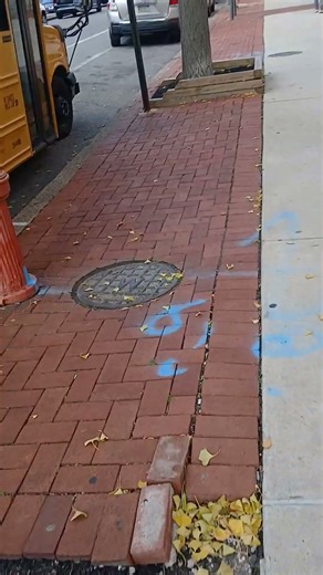 A 2008 Collins school bus