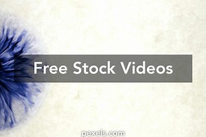 Paint Splash Background Videos, Download The BEST Free 4k Stock Video Footage & Paint Splash Background HD Video Clips