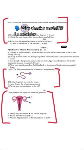 Class 8 Basic science model question paper vs real question paper #class8 #basicscience #xylem #exam