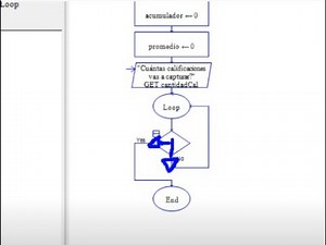 Ejercicio 2 en Raptor. Aprendizaje del uso de los contadores y acumuladores dentro de un ciclo
