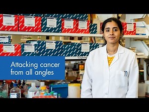 How QIAseq FastSelect helps pave the way towards more successful cancer treatment