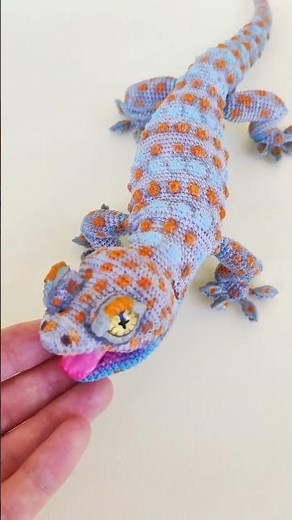 Crochet pattern Tokay gecko, realistic lizard. Link for the pattern in description.