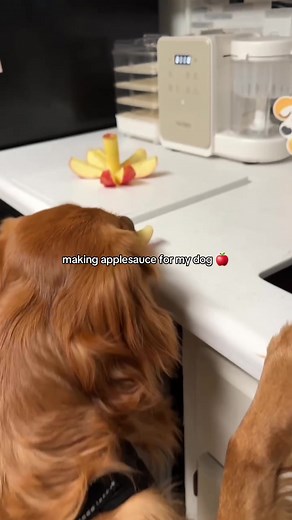 Homemade Applesauce Recipe for Dogs