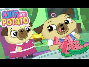 Chip's First Piano Exam // Chip's Homework Project | Chip and Potato - WildBrain | Kid Movies