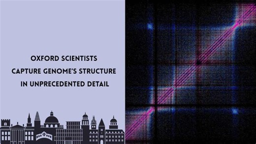 Nucleome Therapeutics: 3D Genomics AI for Inflammatory Disease Treatment | James P. Crowley posted on the topic | LinkedIn