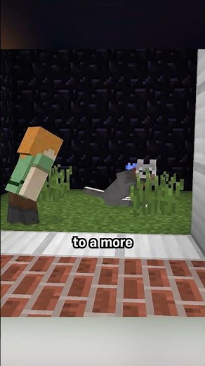 the oldest dog in minecraft