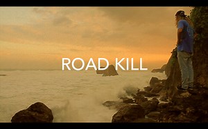 Road Kill