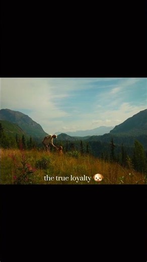 “Beautiful Nature Scenes in 4K 🌄” #nature #peaceful