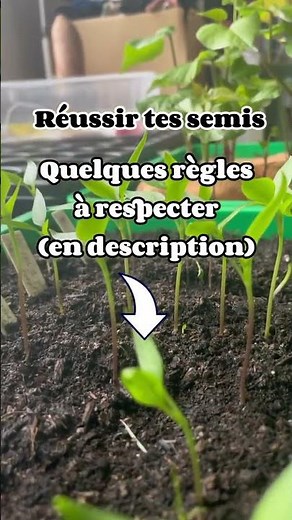Réussir ses semis, quelques règles à respecter: