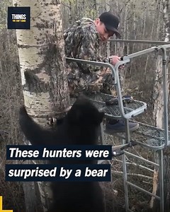 The hunter had no choice but to remain calm 😳😳 | Things You Don't Know