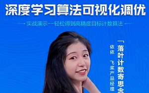 深度学习算法可视化调优实战演示