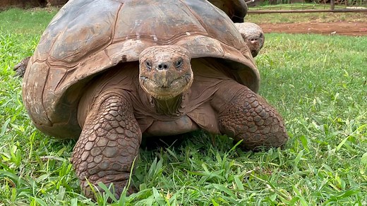 208K views · 17K reactions | Everyone is excited to shell-a-brate...