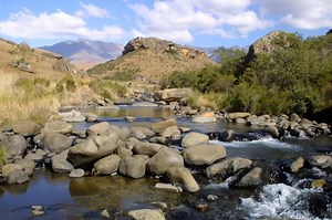 56 reactions | *Meet our Members: Ezemvelo KZN Wildlife Resorts*...