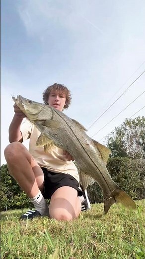 Got a new spot for giant freshwater snook🔥🤫🤫 #notoutofmyneighborhood