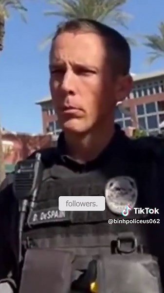 Understanding Police Audits in the USA