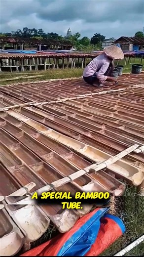 Traditional Salt Production Using Bamboo and Sunlight #viral #trending
