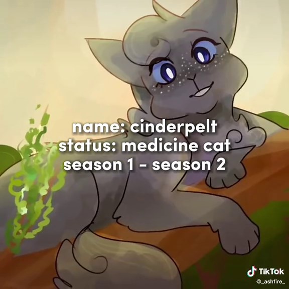 the medicine cats generations :D#waca#warriors#warriorcats#yellowfang#cinderpelt#leafpool#jayfeather#alderheart#spottedleaf#goosefeather#featherwhisker#flipclaw#medicine#cat#thunderclan#starclan#seasons#1#2#3#4#5#6#7#8#uwu#books#bookseries#generations