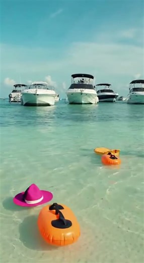 Sandbar Party Gets UNINVITED Guest #shark