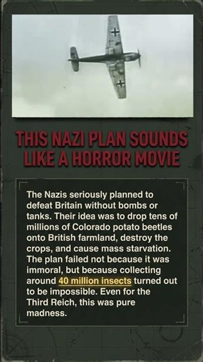 This Nazi Plan Sounds Like a Horror Movie | The Insect Warfare That Failed