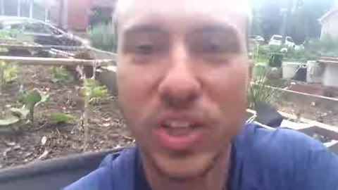 820 reactions · 382 shares | Hydroponics = amazing? FAR from it! My...