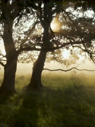 1.2M views · 43K reactions | They Told Me Never to Follow That Path. | Bunmi Adetona | Facebook