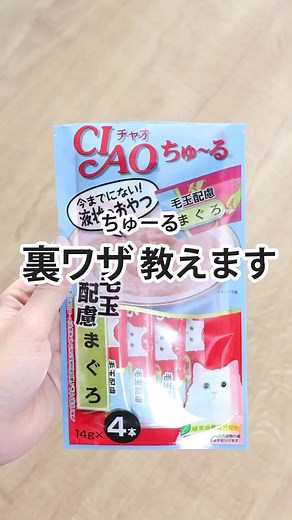 猫の裏技とチュールの楽しみ方