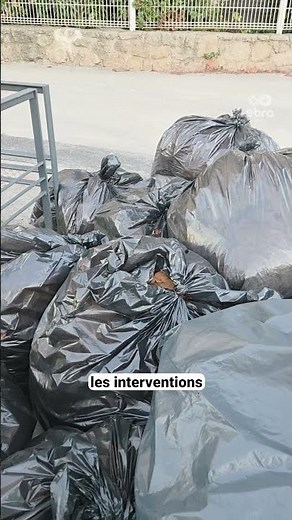 Rats, moisissures, déchets : les parents d’une école d’Avignon tirent la sonnette d’alarme !