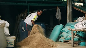 Mantan Kernet Truk Bisa Beli Rumah, Sawah & Mobil dari Ternak Domba Winata Farm adalah kisah inspiratif tentang perjalanan seorang peternak bernama Bapak Winarto dari Kediri, Jawa Timur. Berawal dari seorang kernet truk, Bapak Winarto memutuskan untuk banting setir ke dunia peternakan dengan modal keyakinan dan semangat pantang menyerah. Awalnya, ia beternak kambing di belakang rumah dengan jumlah yang terbatas. Seiring berjalannya waktu, ia mulai mengembangkan usahanya dengan beternak domba dan