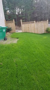 When and how to kill annual rye grass