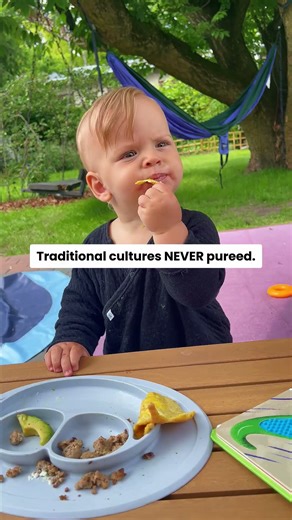 Ever wonder why your baby refuses purees? 🤔 It’s not defiance — it’s biology.