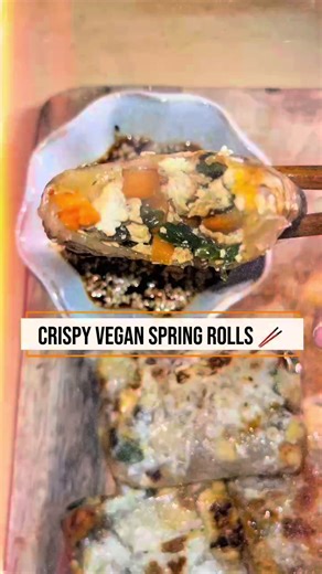 Diese veganen Frühlingsrollen sind außen super knusprig und innen voller Geschmack! 🤤🥢 Gefüllt mit frischem Gemüse, in Reispapier gerollt und perfekt angebraten! ein einfacher Snack, der einfach immer geht.✨ Der Crunch beim Reinbeißen ist einfach next level! 🔥 👉 Zutaten stehen am Ende des Videos. Speicher dir das Rezept für später! #vegan #springrolls #crispyfood #veganrecipes #easyrecipes