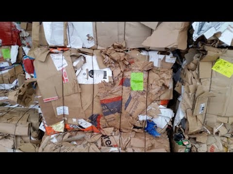 Cardboard Compactor Recycling Area