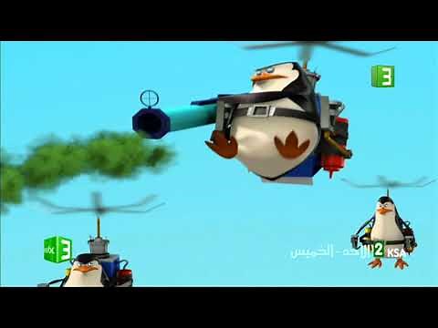 بطاريق مدغشقر