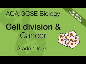 AQA GCSE Biology: Cancer | GCSE 9-1 Revision