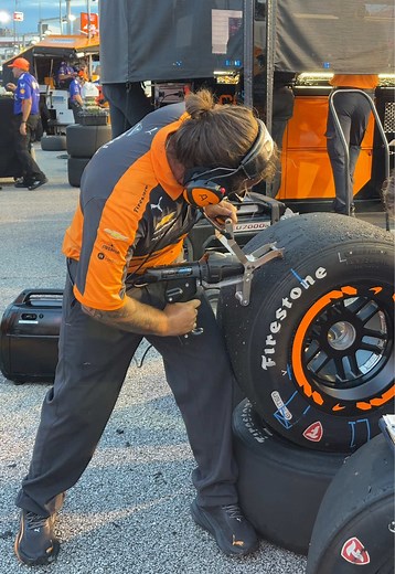 Does Tire Racing Hurt Horses? Debate About Horses and Car Tires