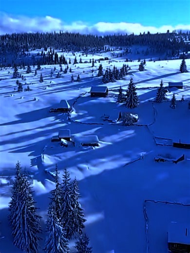 Motivational Masters: Embracing Understanding