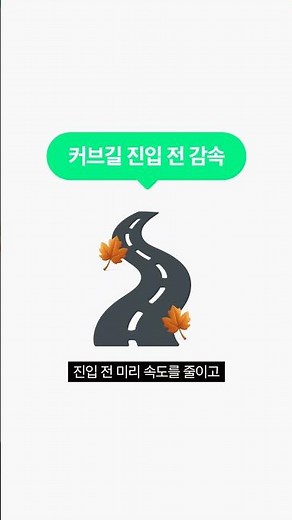 📢 [운전 필수 꿀팁] 낙엽철 도로 위, 이렇게 운전하세요 🍂
