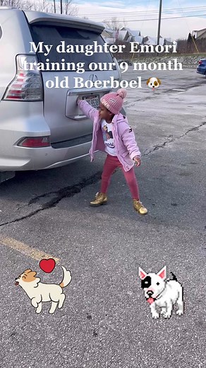 Boerboel Puppy Training by Daughter | Obedience Tips & Tricks