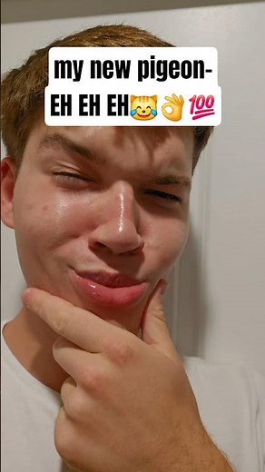 hello pigeon- EH EH EH😂👌 #fyp #meme #memes #pigeon #dank #dankmemes #slimetok #audio