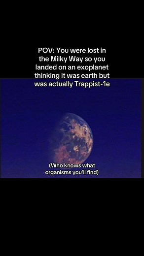 Discovering Trappist-1e: Our Most Promising Exoplanet