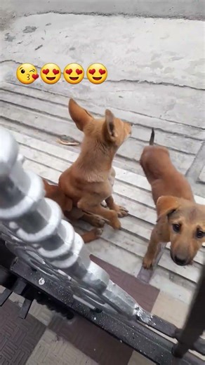 morning routine ruby se milne or khana khane aate h