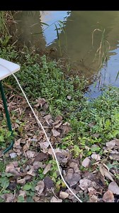 See how this device generates energy from movement. The device is shown powering different tools. It demonstrates the potential of this innovative technology. See the full video for more details. Tag a friend who would find this interesting! #energy #movement #technology #innovation #DIY #power | Hidden Technology