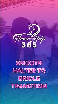Smooth Halter-to-Bridle Transition