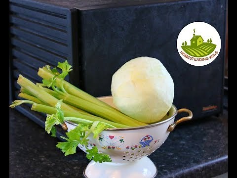 Dehydrating Cabbage & Celery | It's Easy!