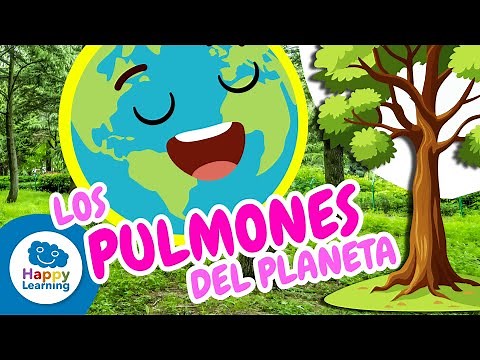 LOS PULMONES DEL PLANETA | Ciencias Naturales para Niños | Happy Learning 🌳🫁😮‍💨