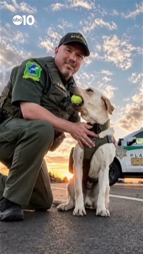 Placer County introduces new explosives detection K-9 Leo